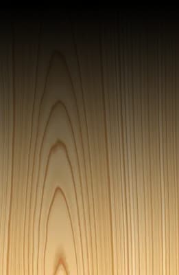 Plans section background